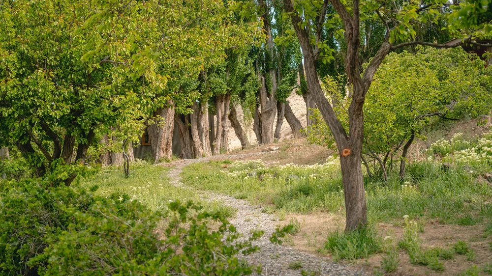 Campaña Tierra de Cañadones - Estación biológica El Unco -  Noviembre 2024 - @Hori_barbieri - Horacio Barbieri_-27~1