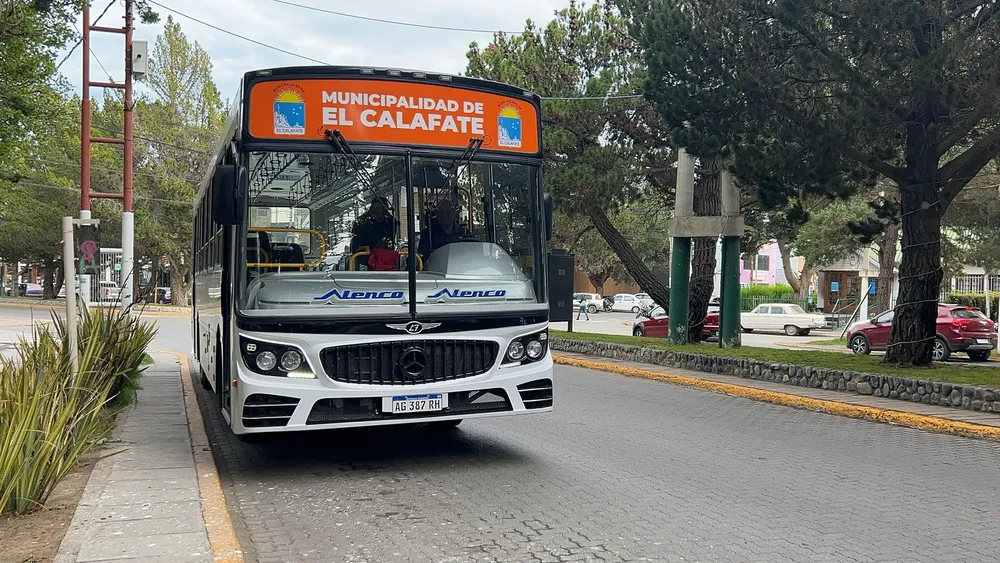 colectivo nuevo