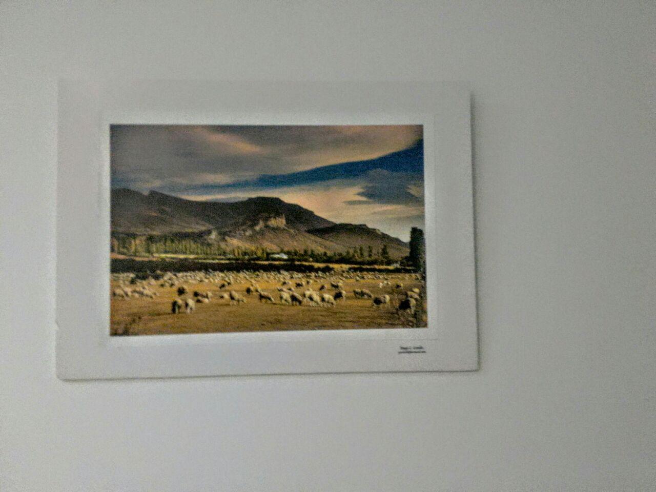 8d837f7c-dbc6-44b0-9adf-252c3b8f13b6