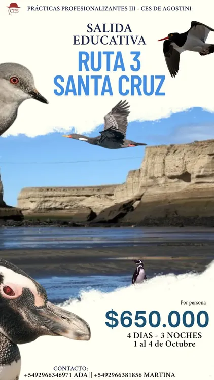 WhatsApp Image 2025-08-26 at 10.26.34