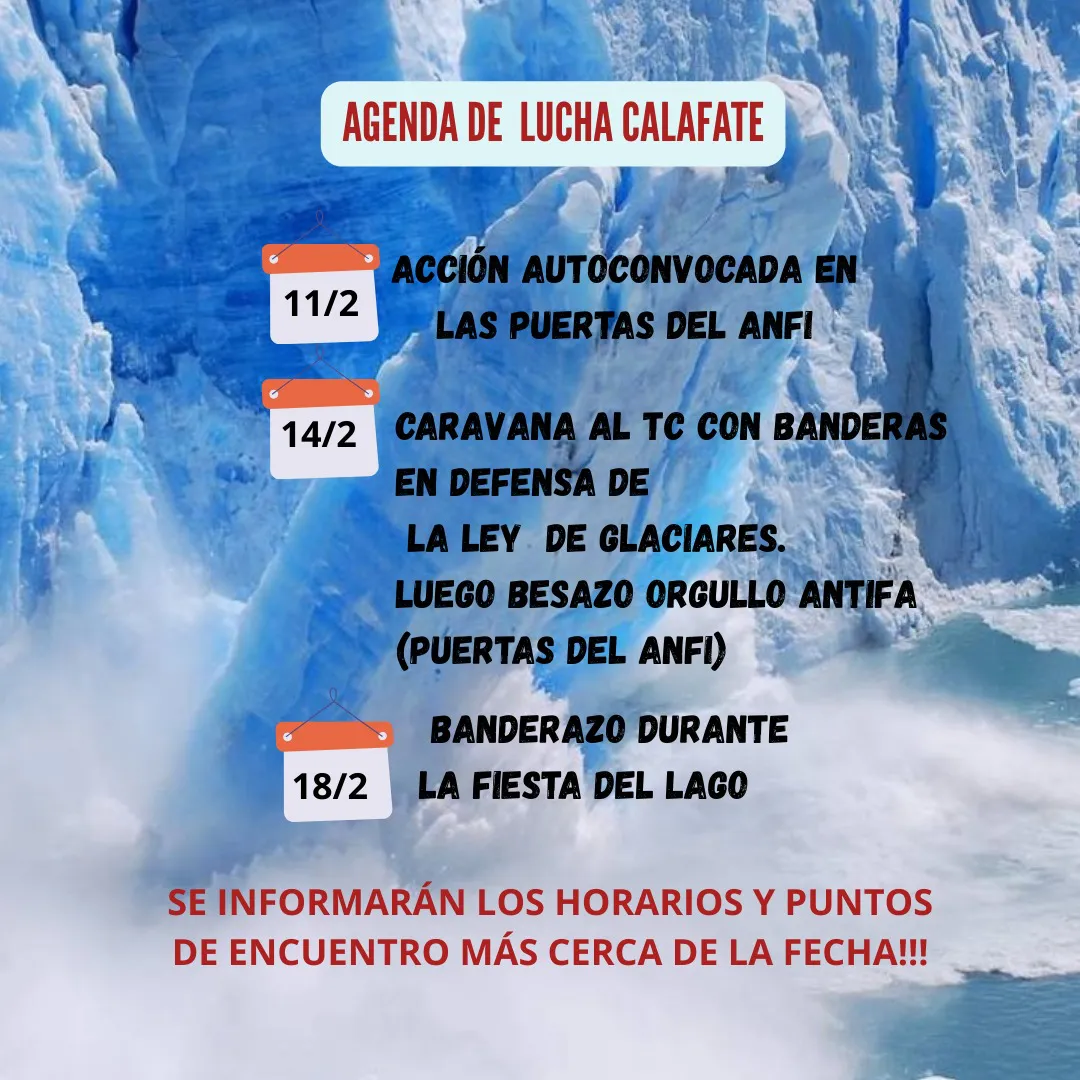 WhatsApp Image 2026-02-08 at 17.01.30