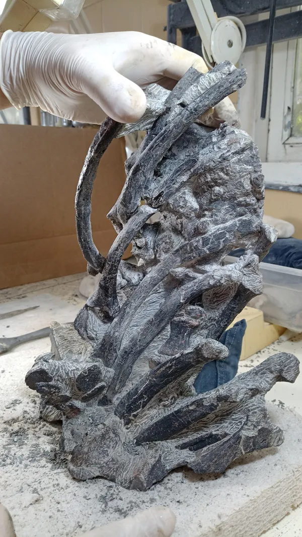 @LACEV_IMG_20230718_141632870