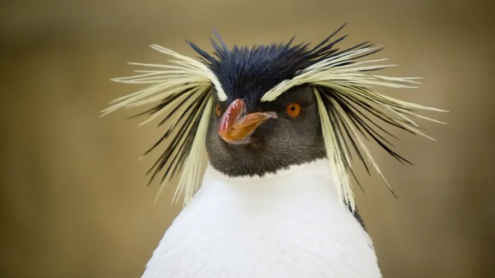 522748974_1071348458431533_6161016831712155199_n