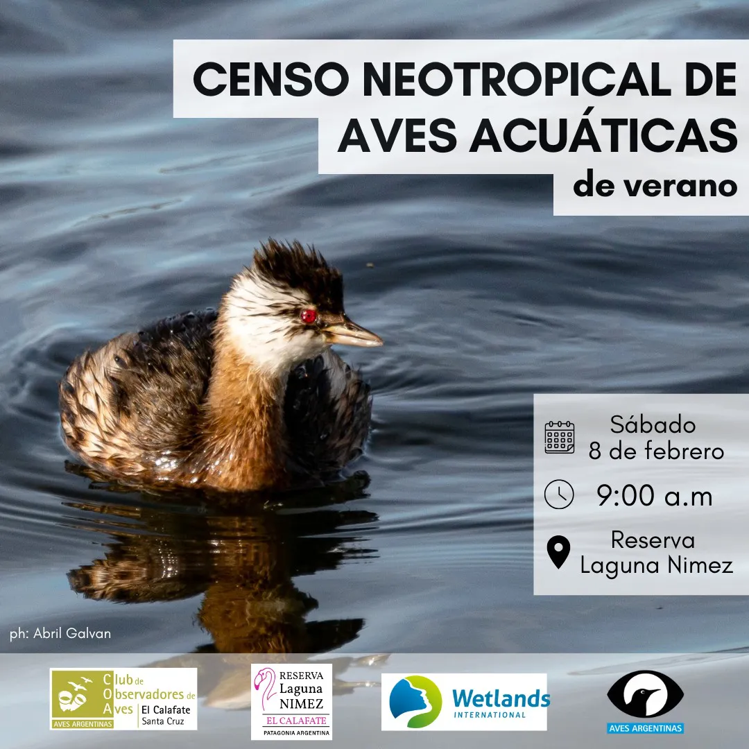 475977522_17962337573850007_2442370859991242879_n