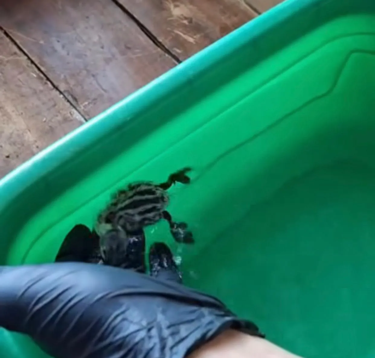 WhatsApp Image 2026-01-04 at 02.55.33(1)