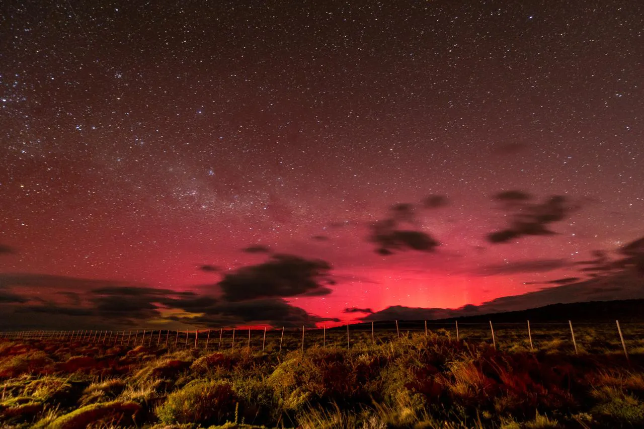 WhatsApp Image 2025-11-12 at 17.36.05 (2)