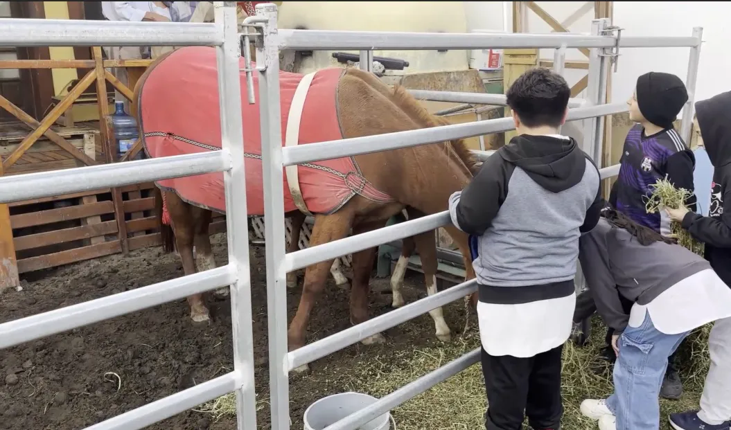 expogranja1