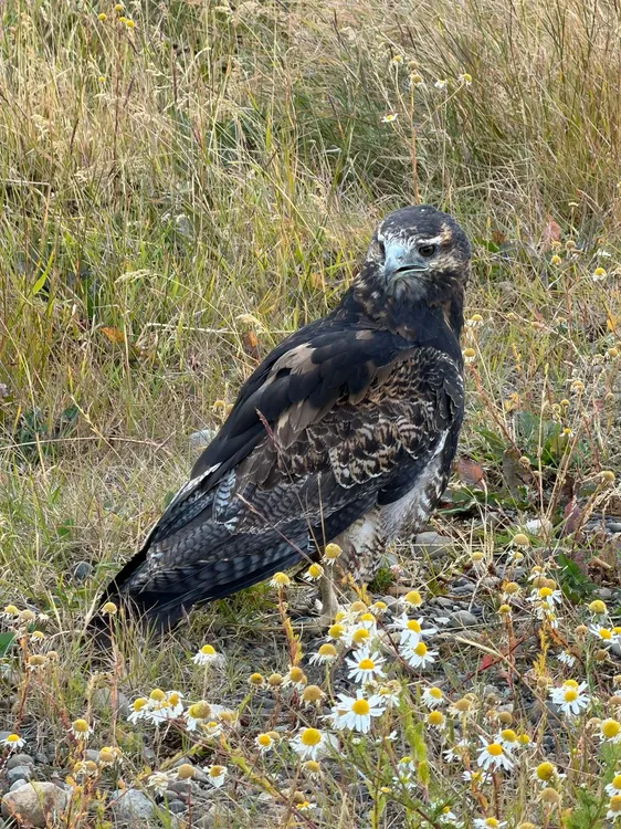 88441376-2c8e-403b-9ff4-75c5b6688dce