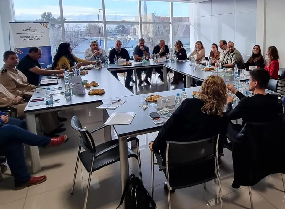 reunion por avistaje ballenas