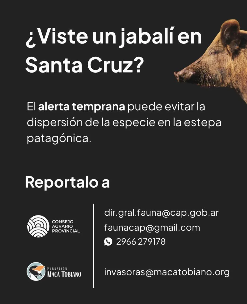 WhatsApp Image 2026-03-27 at 10.27.55