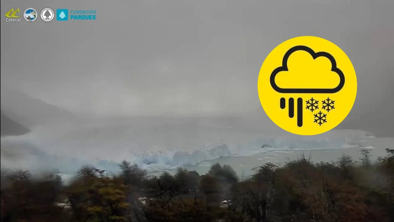 WhatsApp Image 2026-03-24 at 11.07.18