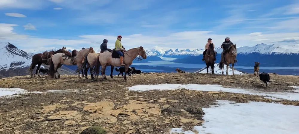 WhatsApp Image 2026-01-13 at 5.40.59 PM