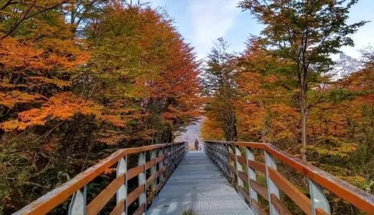 490705241_681449250921162_3573994017490857908_n