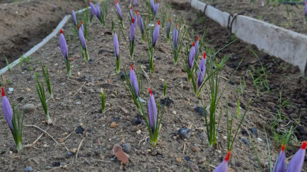 Captura de pantalla 2025-06-29 111458