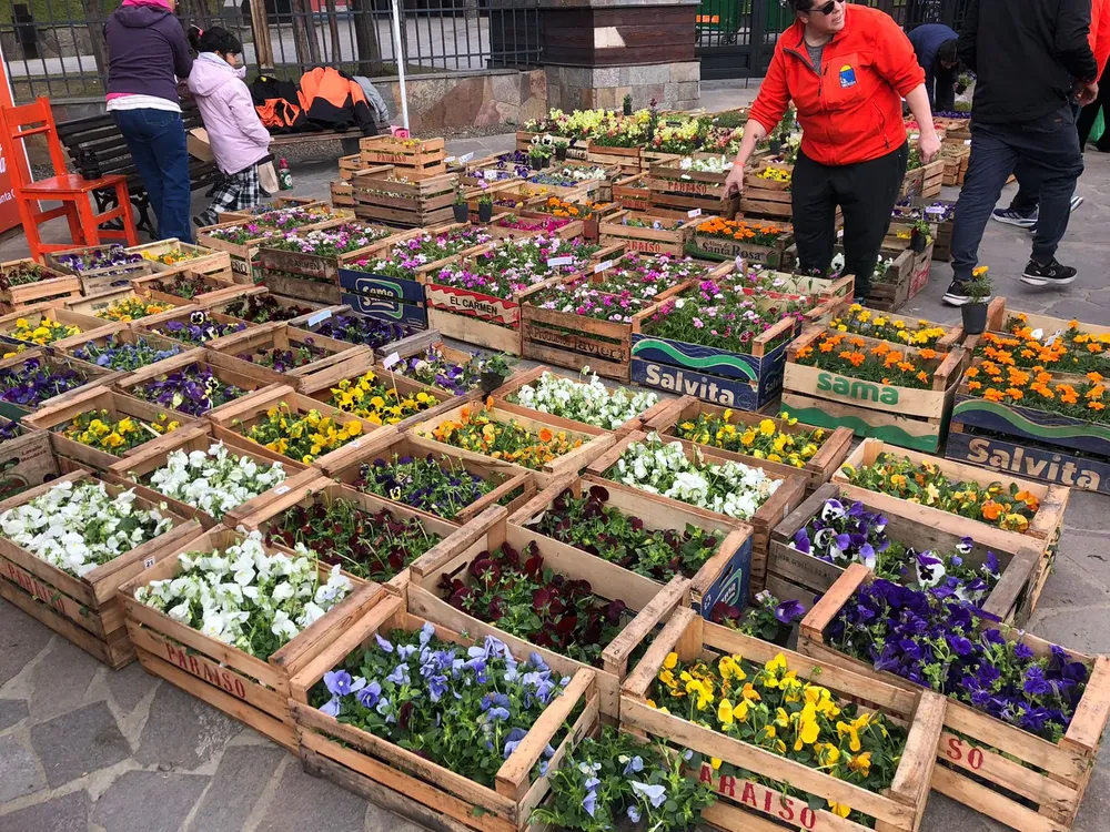 WhatsApp Image 2025-09-27 at 12.28.25