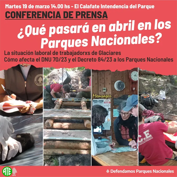 Conf Prensa Brigadistas