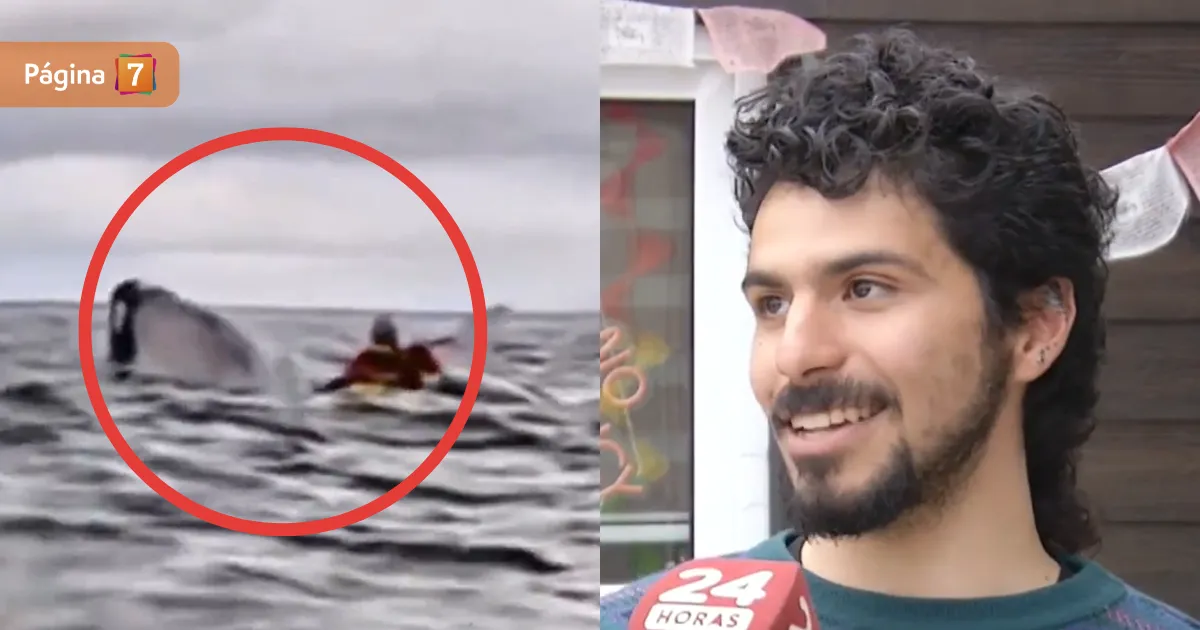 kayakista-tragado-ballena-pense-me-habia-comido