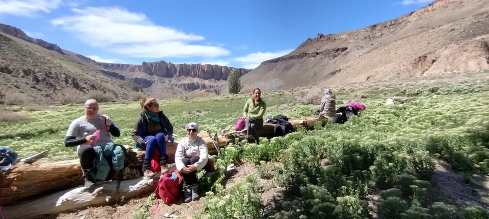 Imagen de WhatsApp 2024-11-08 a las 14.52.53_9b382378