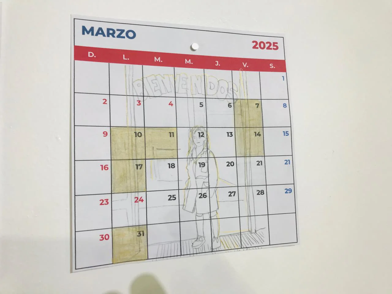 WhatsApp Image 2026-03-07 at 15.18.41(2)