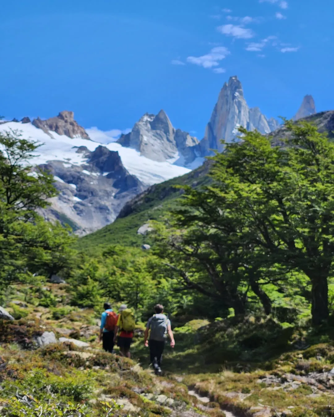 Ayer participamos de una evacuación en el valle de Laguna Sucia.En horas de la mañana una cordada de Brasil tuvo un accidente en la aguja de la S, uno de los escaladores resultó lastimado por la caída de un (5)
