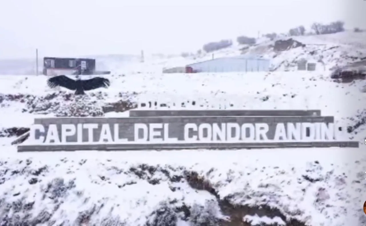 WhatsApp Image 2025-05-22 at 08.45.10(1)