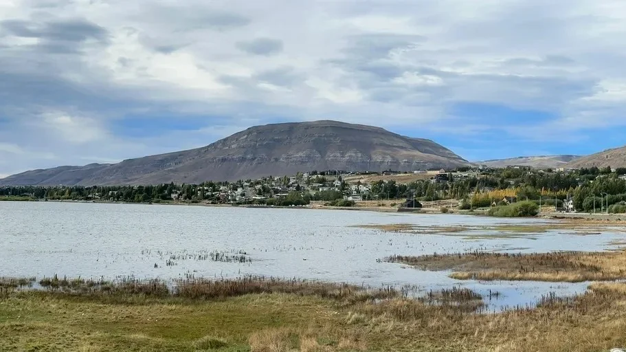 Calafate1