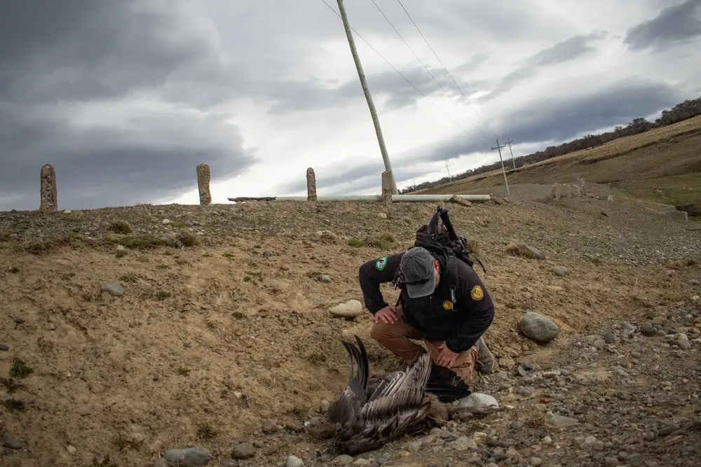 561499365_1242634781227484_5739367748147223914_n