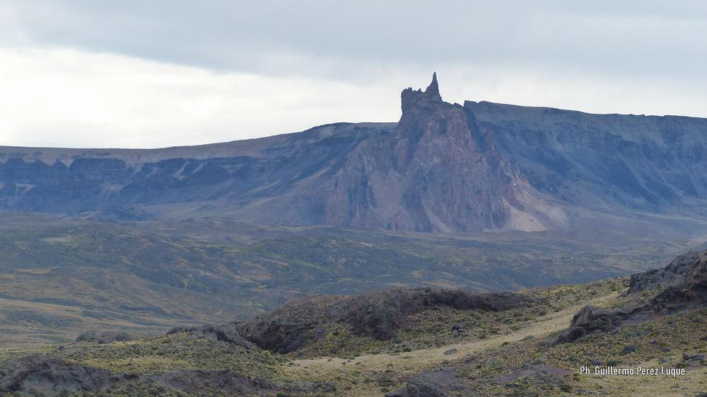 P1450189 [AUDIO FMD]