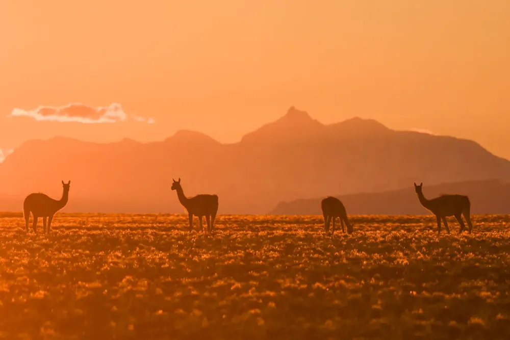 IMG-20240614-WA0012