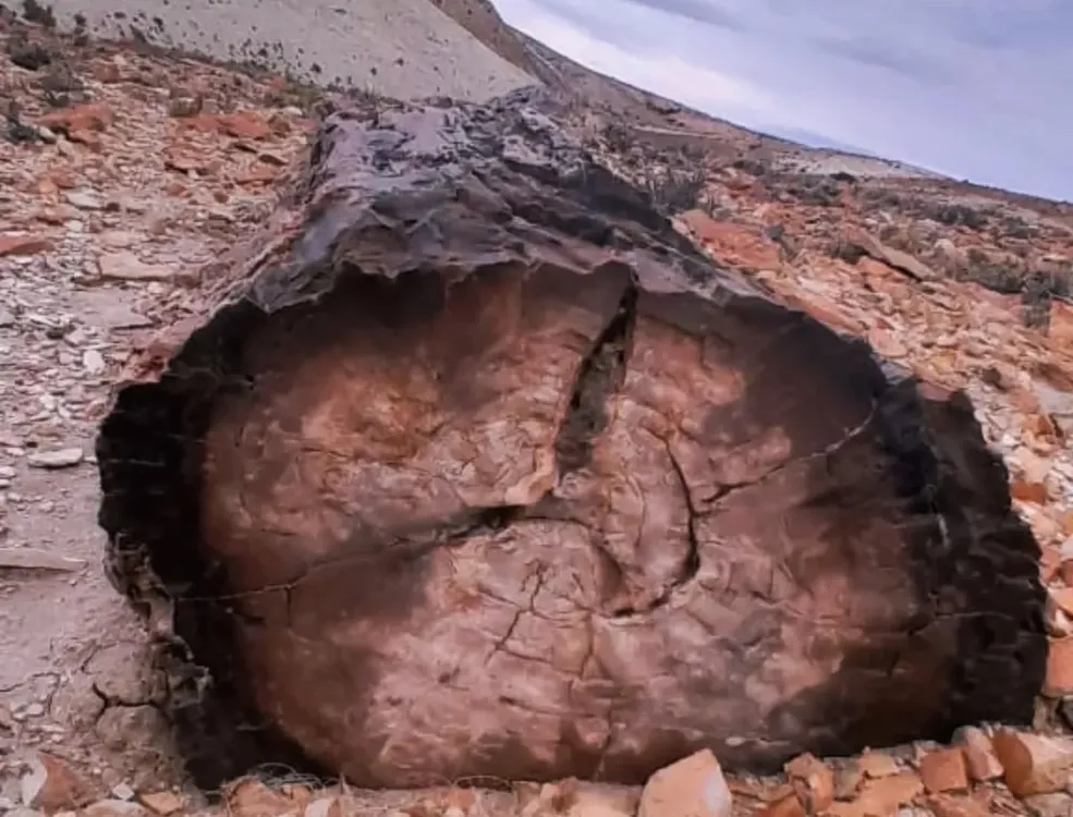 598947896_18082841672512245_381498154508118135_n