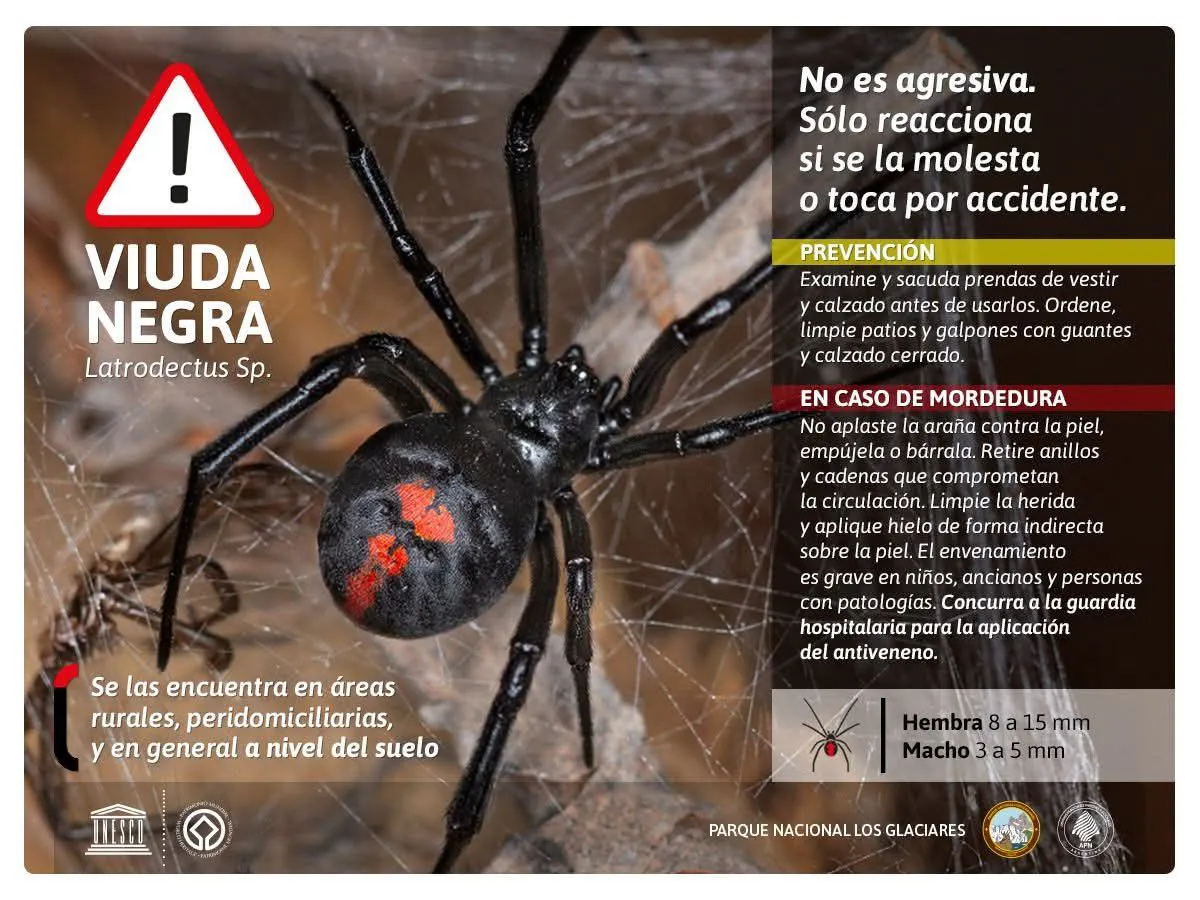 624282649_899867962412622_7228560412340428230_n