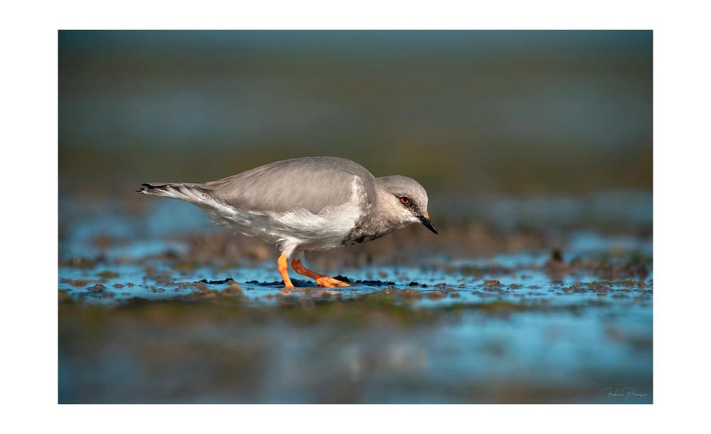 WhatsApp Image 2023-05-12 at 12.17.21 (1)