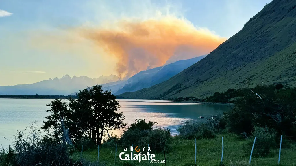 WhatsApp Image 2026-01-05 at 15.57.12