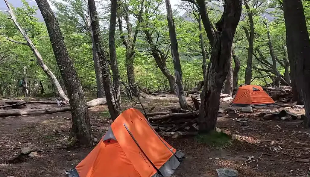 Captura de pantalla 2025-12-30 073812