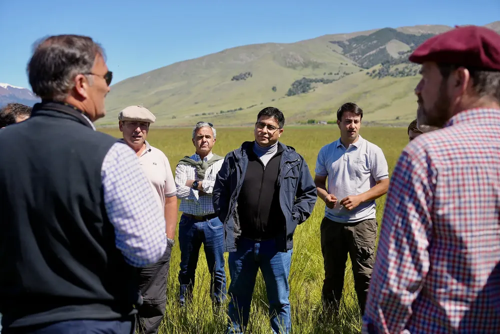 Vidal_Estancia_Alice_6