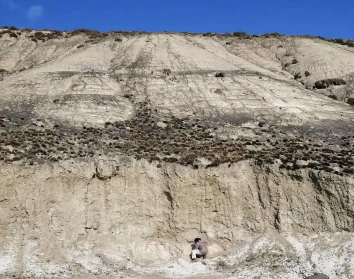 5E3ECE86-D436-40D8-A6AB-206C051ED98C