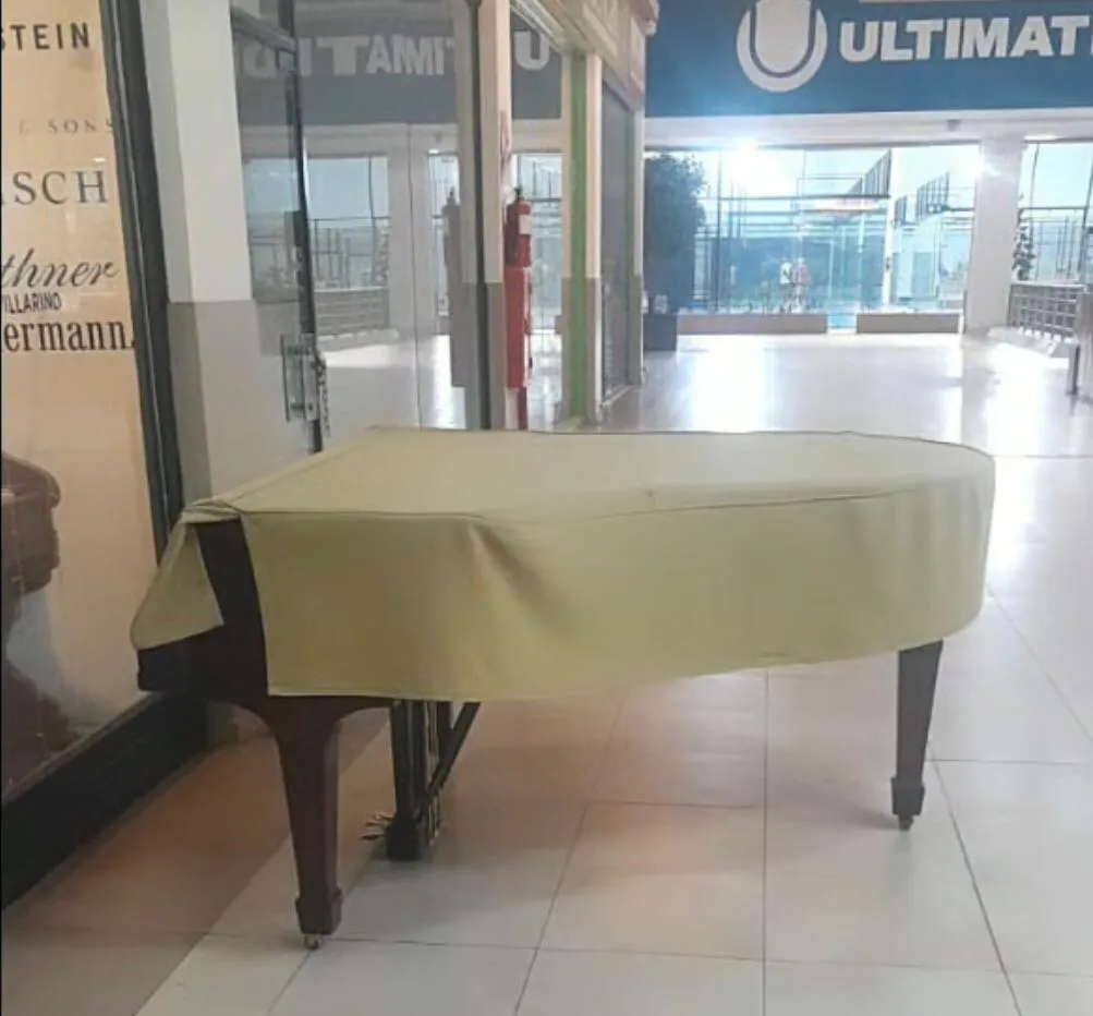 WhatsApp Image 2025-04-23 at 11.19.28