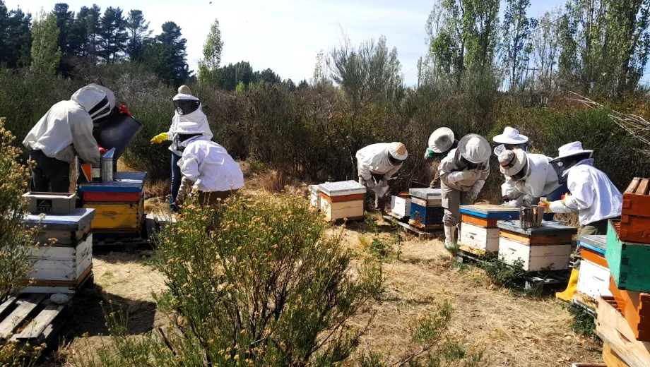 WhatsApp-Image-2026-03-10-at-15.42.14