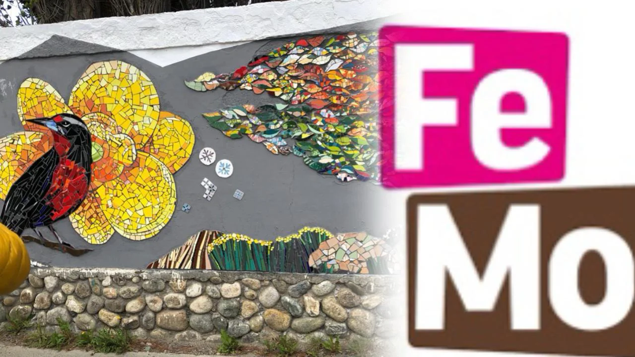 WhatsApp Image 2026-03-31 at 10.28.54