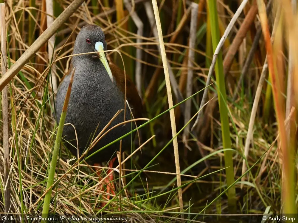 571395205_1123967913279740_4607976933083340786_n