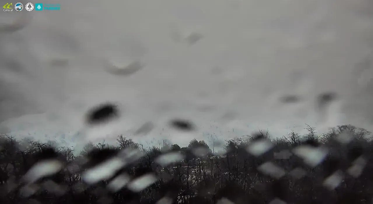 Captura de pantalla 2024-07-21 124409