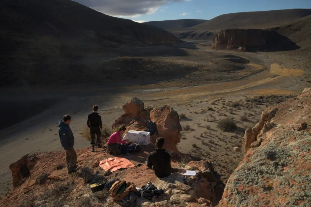 Chinchillon-anaranjado-recaptura-Jhoana-Canadon-Caracoles-mayo-2023-Franco-Bucci-1-1024x681