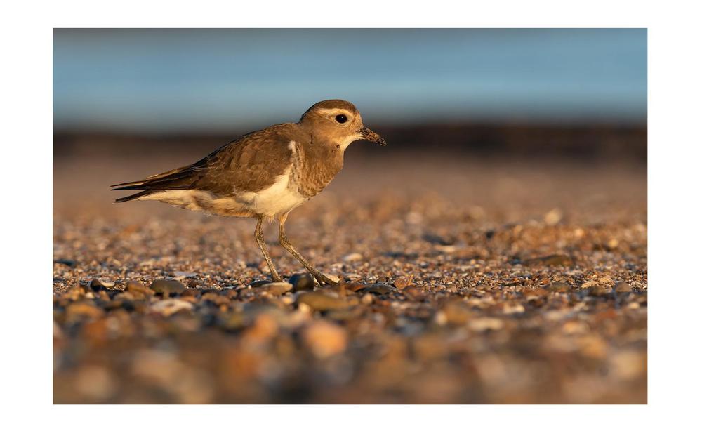 WhatsApp Image 2023-05-12 at 12.17.23