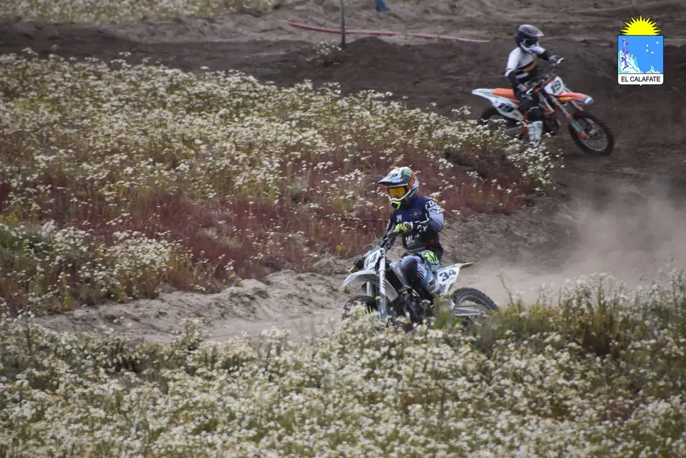 Imagen de WhatsApp 2025-01-26 a las 21.02.45_0aaef042