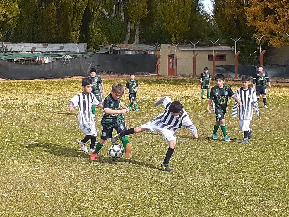 multimedia.grande.abb87ade66f41cdb.32303233303430385f3134333235395f6772616e64652e6a7067