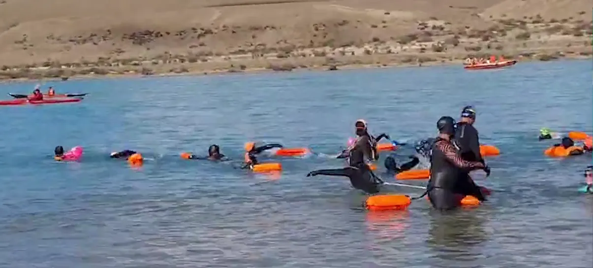 Captura de pantalla 2025-03-02 110752