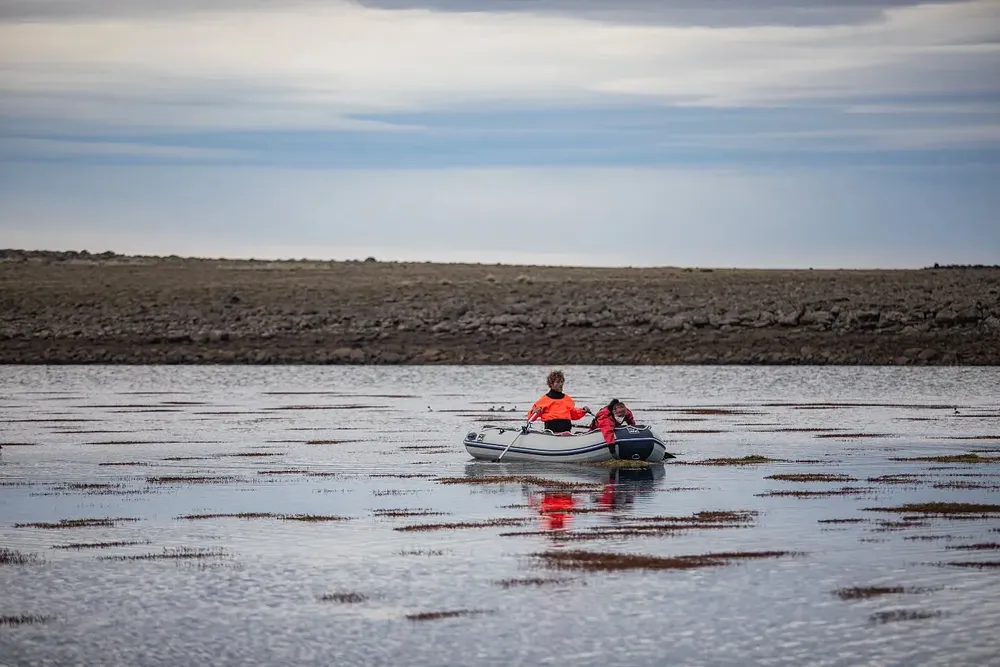 491453474_18065800403505372_6616524822686767063_n