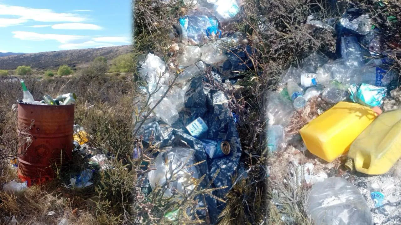 WhatsApp Image 2026-01-23 at 11.47.26