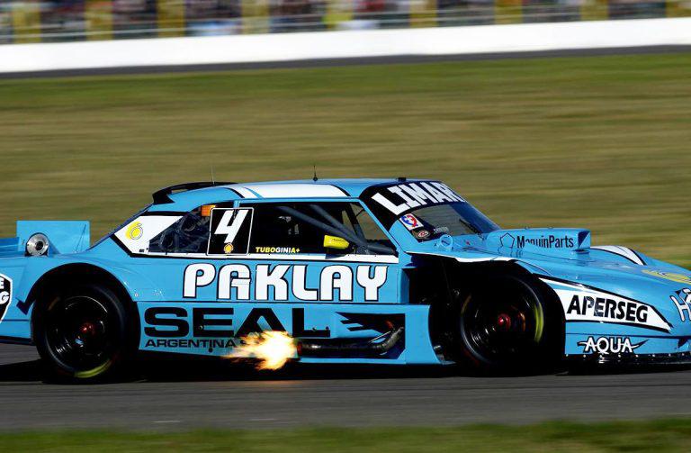 Gini-Calafate-768x503