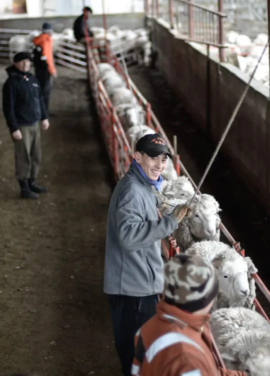 INTA Para Nota Encuesta IMPACTAR (3)